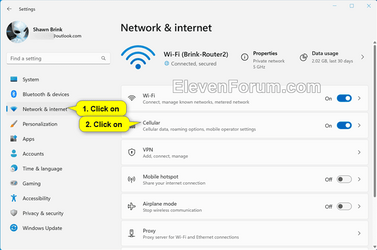 Cellular_data_roaming-1.png