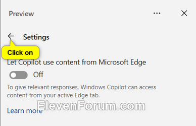 Copilot_settings-3.png