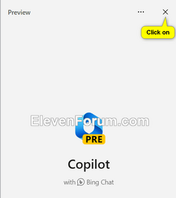 Copilot_settings-4.png