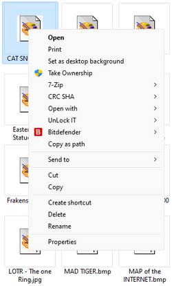 Image1.png