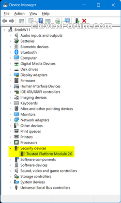 TPM_version_Disk_Management.png