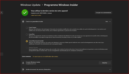Programme Windows Insider.png