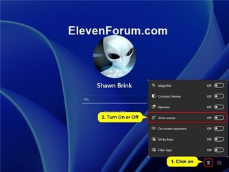 Voice_access_sign-in_screen.jpg