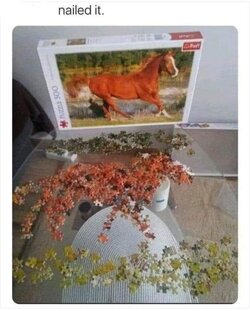 IMG_1250.jpeg
