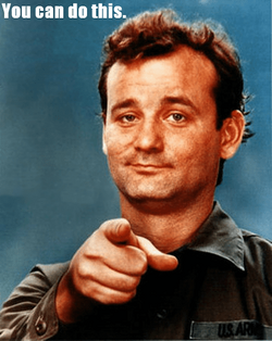 Bill Murray - You can do this.png