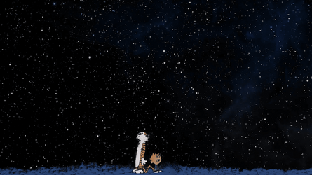 Calvin and Hobbes - STARS.png