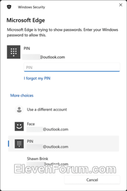 Microsoft_Edge_edit_passwords_in_Wallet-2.png