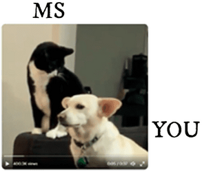 MS-YOU.png