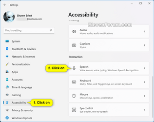 Voice_access_Settings-1.png