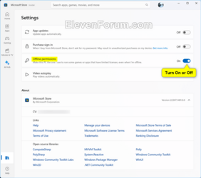 Microsoft_Store_offline_permissions-2.png