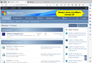 Edge_always_show_scrollbars_off-1.png