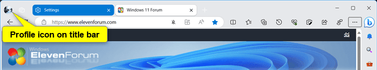 Edge_profile_icon_on_title_bar.png