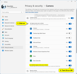 Let_desktop_apps_access_your_camera.png