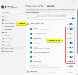 Let_specific_apps_access_your_camera.png