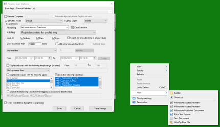 RegScanner and Context menu, New.png