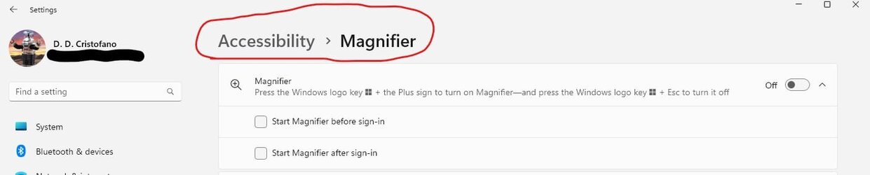 Win11 Magnifier.jpg