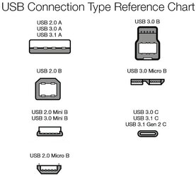 USB illustrations.jpg