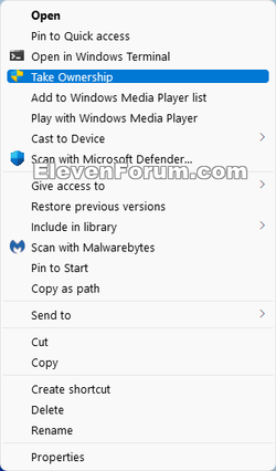 Take_Ownership_context_menu.png