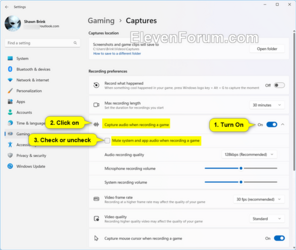 Capture_audio_when_recording_a_game_Settings-3.png
