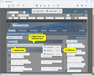 Snipping_Tool_text_actions-3.png