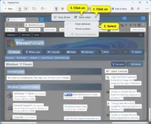 Snipping_Tool_text_actions-2.png