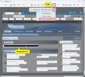 Snipping_Tool_text_actions-4.png