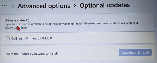 Windows Update BIOS.jpg Windows Update BIOS.jpg