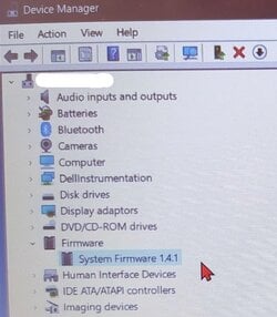 DELL Device Manager BIOS version wrong (1).jpg