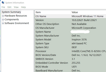 System Info DELL.png