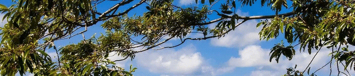 bandicam 2023-09-29 17-02-53-649_edited.gif