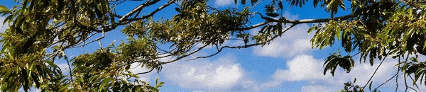 ezgif.com-video-to-gif.gif