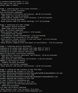 CHKDSK bv D.png