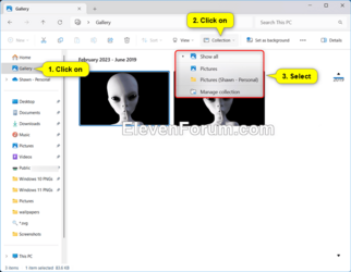 File_Explorer_Galley_collection.png