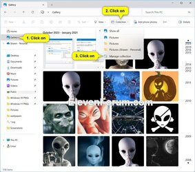 File_Explorer_Gallery_collection_drop_menu_order-1.jpg