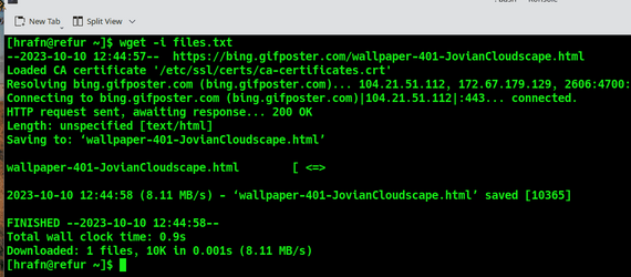 Screenshot_20231010_125004.png