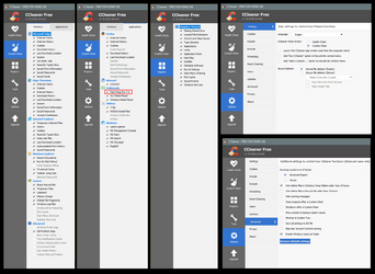 000000 CCLEANER Settings.png
