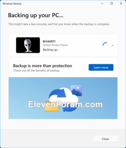 Backiung_up_your_PC.png