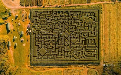 BingWallpaper Maze  - solved.jpg