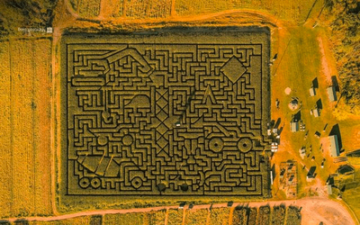 1698186692516.png