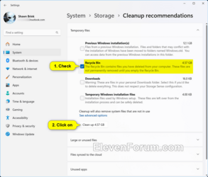 Empty_Recyle_Bin_from_Cleanup_recommendations.png