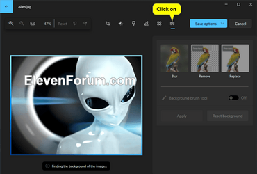 Photos_remove_background-2.png