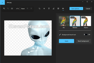 Photos_remove_background-4.png