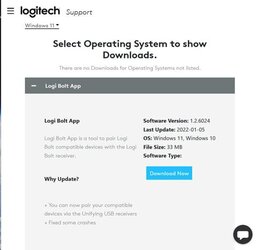Logi Bolt.jpg