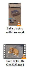 Bella VLC.png