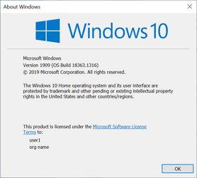 wuser_1109_winver_Microsoft Windows [Version 10.0.18363.1316].png