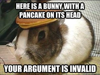 rabbit-with-pancake.jpeg