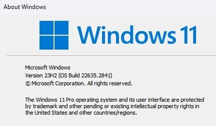 Windows 11 Pro Download Full Version Direct Link (Tested and Trusted) -  EaseUS