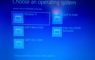 Multi-Boot System .png