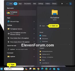 Explorer_search.jpg