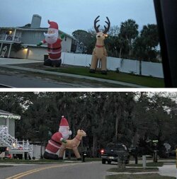 daily_picdump-35-8.jpg